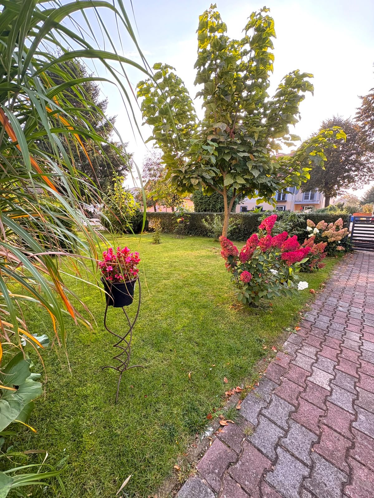 Grünanlagenpflege: gepflegte Gartenanlage mit Rasen und Ziergräsern
